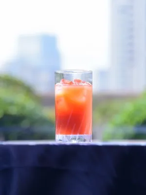 tokyo-banquet-plan-135-noncocktail